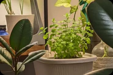 The Agriprenuer approach to farming