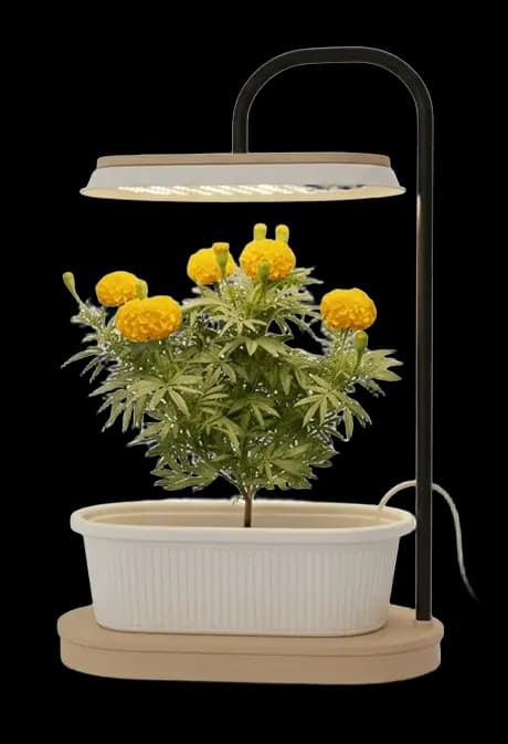 SagePod Mini - Smart Indoor Garden