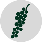 Pepper